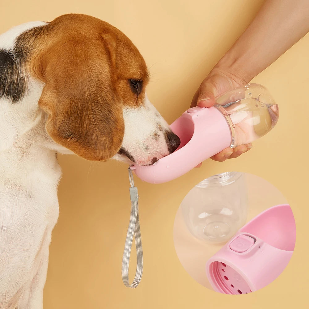 DogHydrate