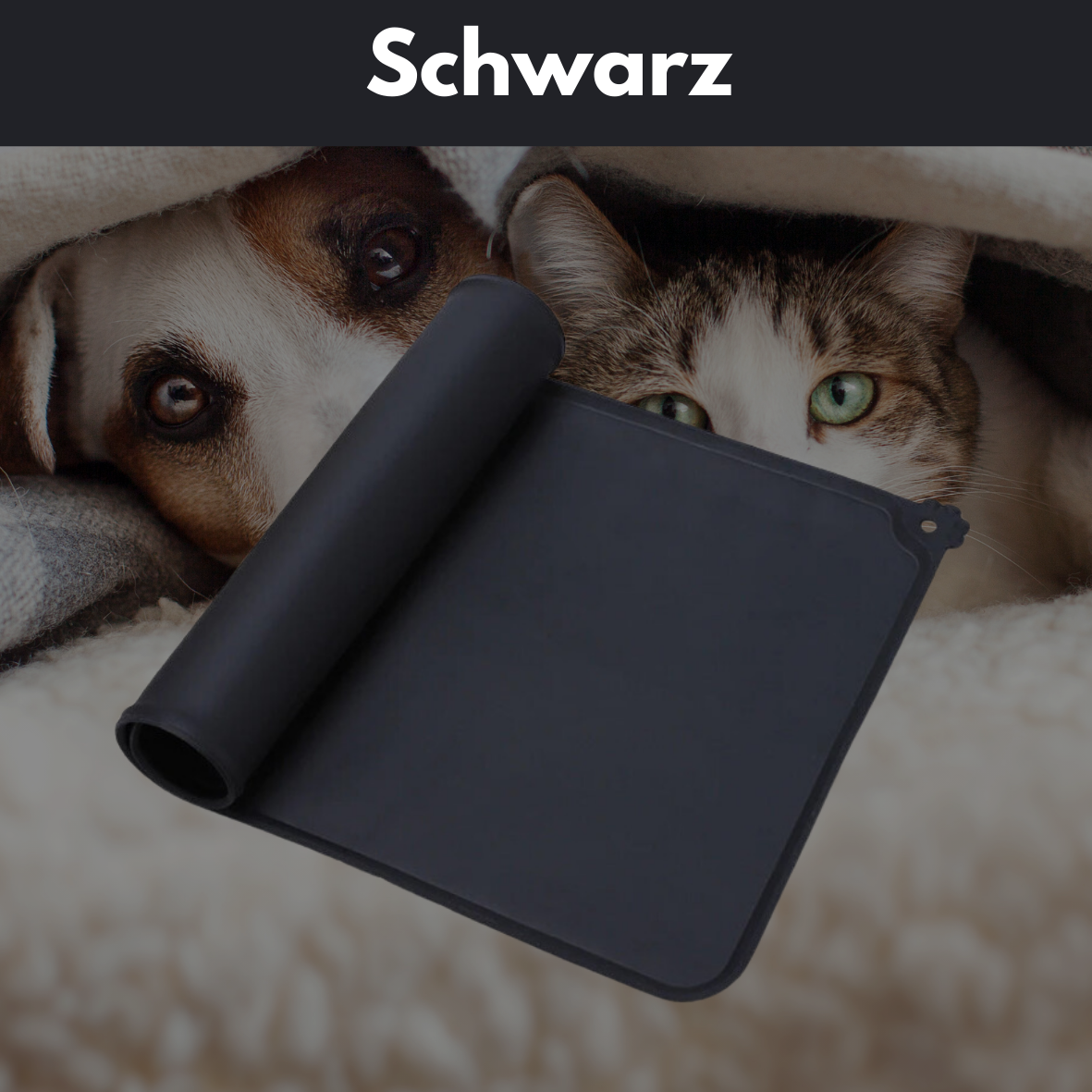 PetBuddyPad