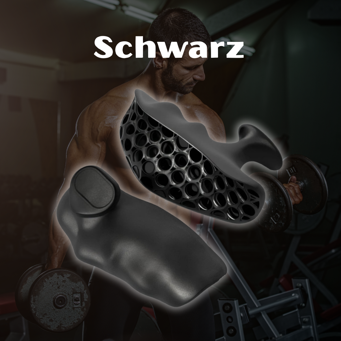 PowerGips