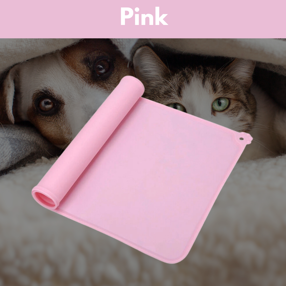 PetBuddyPad