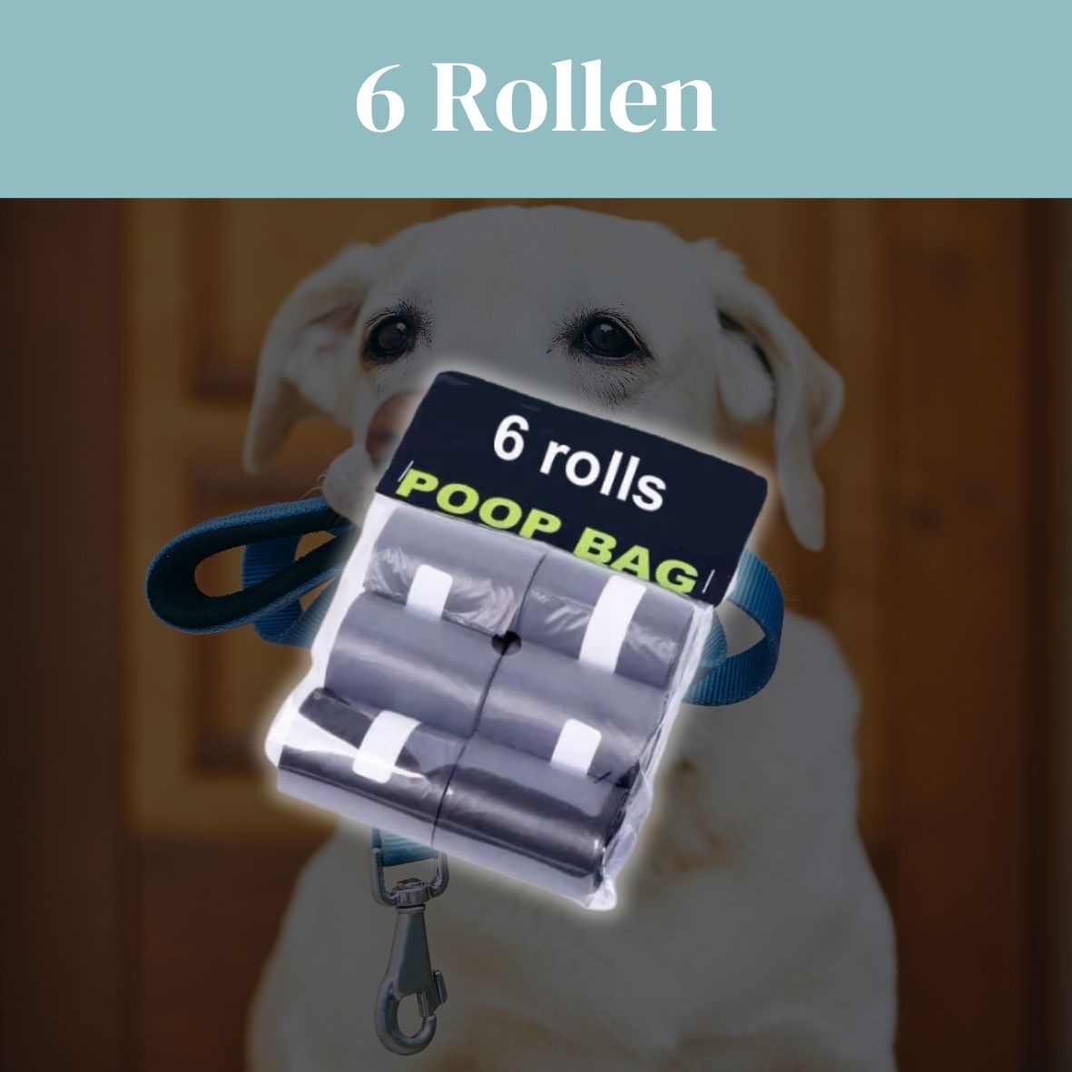 PooClip