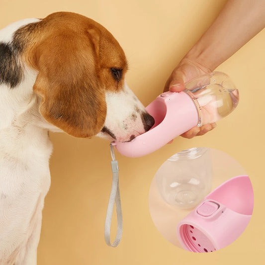 DogHydrate